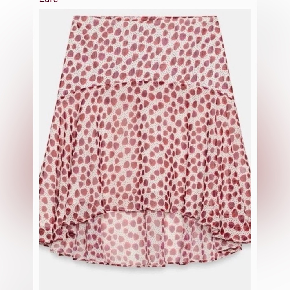 NWT zara skirt